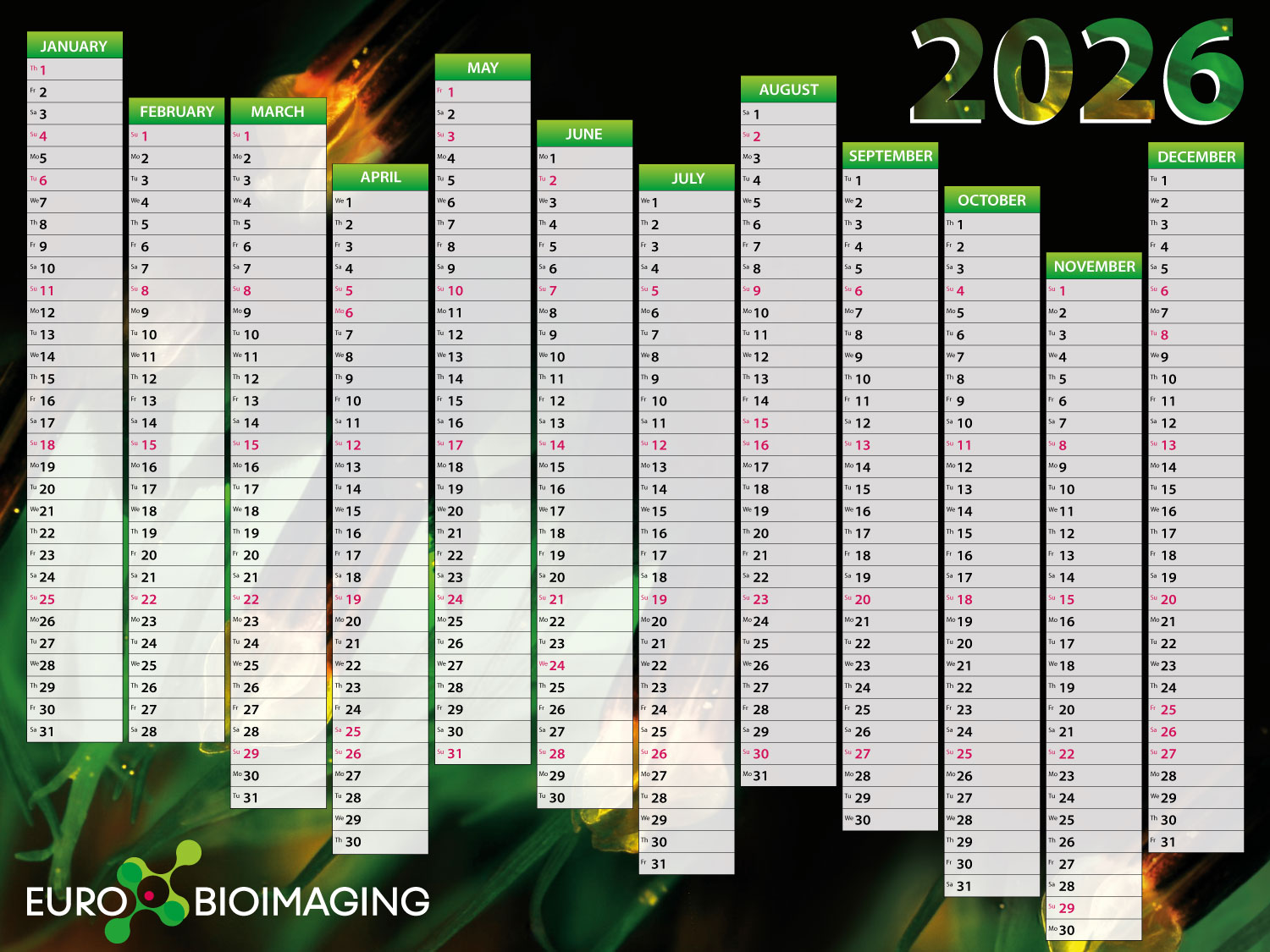 Calendario annuale
